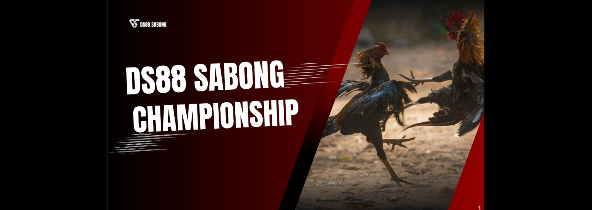 DS88 Sabong Championship
